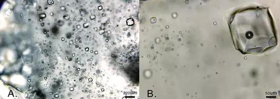 奥陶纪石盐中的原生（左）与次生流体包裹体（右）