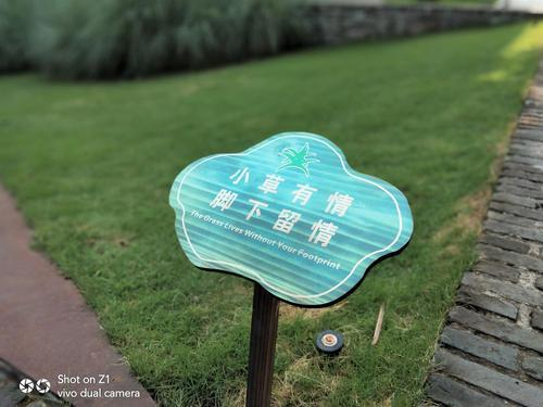 微距：轻松捕获细节之美