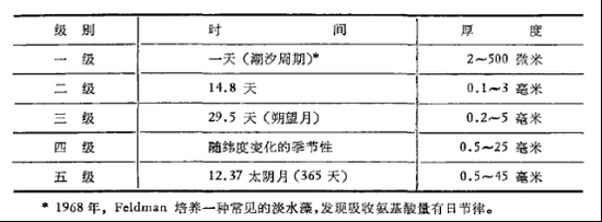 叠层石生长纹分级