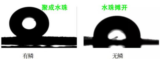 （图片来源：参考文献[5]及作者制作）