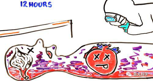 （图片素材来源自AsapSCIENCE）