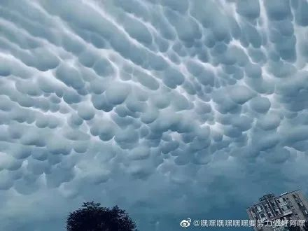 　来源：新浪微博网友@嘿嘿嘿嘿嘿嘿要努力做好阿嘿