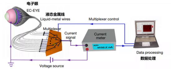 　电化学眼工作过程