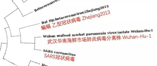 图 | 参考文献[1]