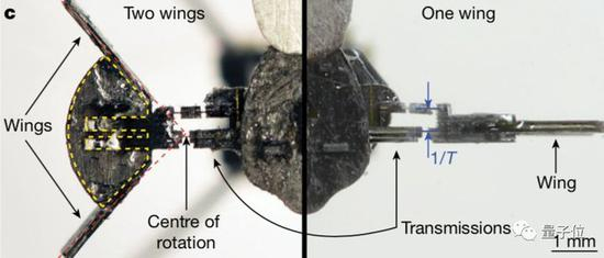 用上图这种方式连接，比 2 个翅膀效率提升了 30%。