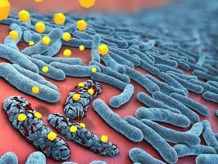 图片来源：123RF