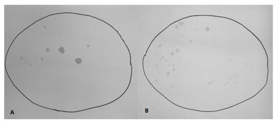 冲水时虹吸式马桶（A）和直冲式马桶（B）所致液体飞溅量的对比。图片来源：论文