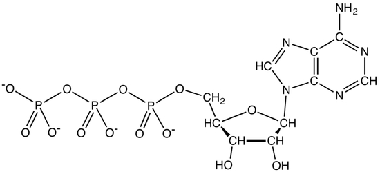 ATP（图片来源：wiki）