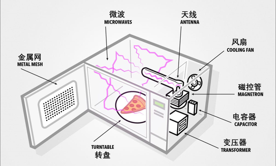现代微波炉的基本结构 | 图源：BusinessInsider