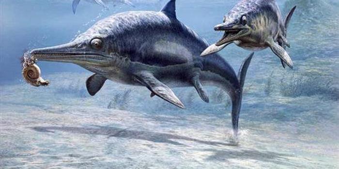 古代海洋爬行动物吞食巨大猎物 手机新浪网