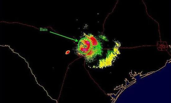 雷达检测到聚集的蝙蝠 |&nbsp;U.S。 National Weather Service