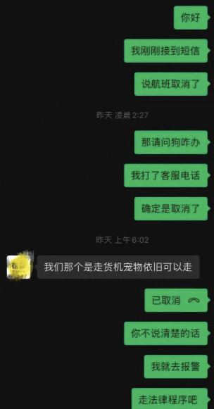 工作人员坚称宠物走了空运