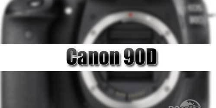 单反相机佳能90D即将发布