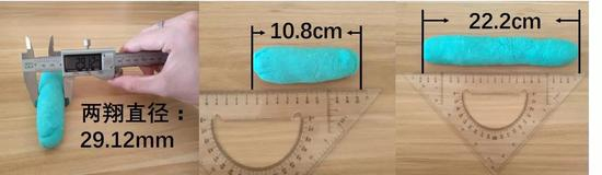 先看看短蓝翔入水效果