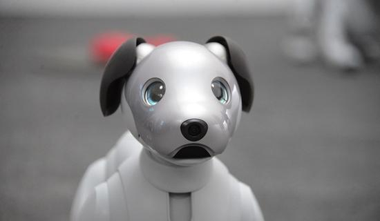 aibo机器狗