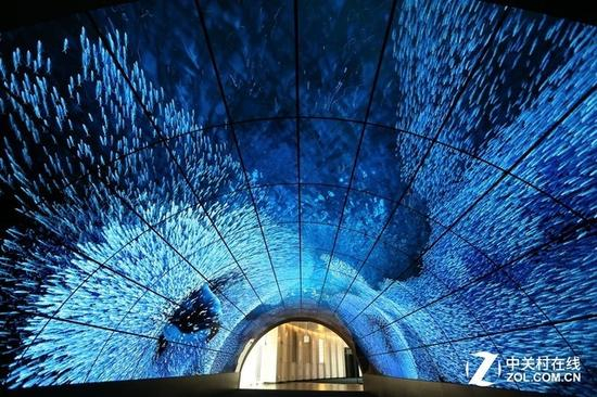 OLED屏幕拼接的影像隧道能直观地展示OLED高画质的优势