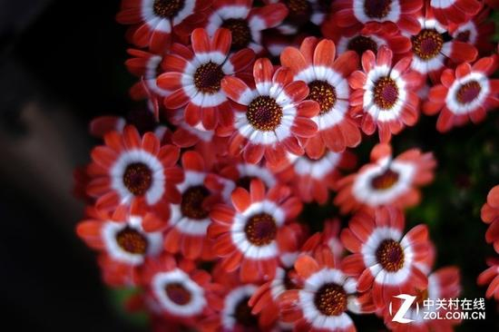 富士胶片滤镜，本身的色彩非常可靠，有着富士胶卷相机的味道