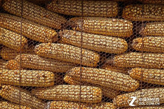 富士X-E3更有助于我们专注于拍摄，记录生活