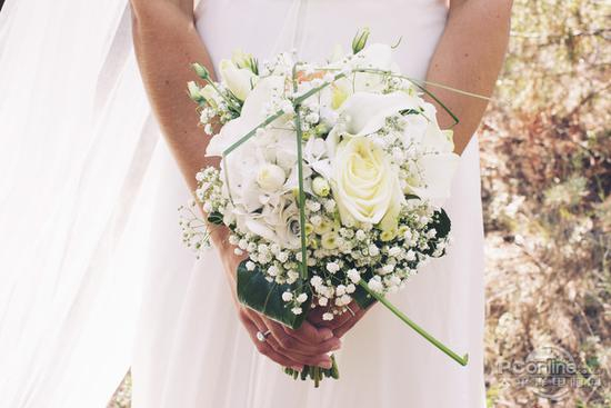 （图片来自视觉中国）