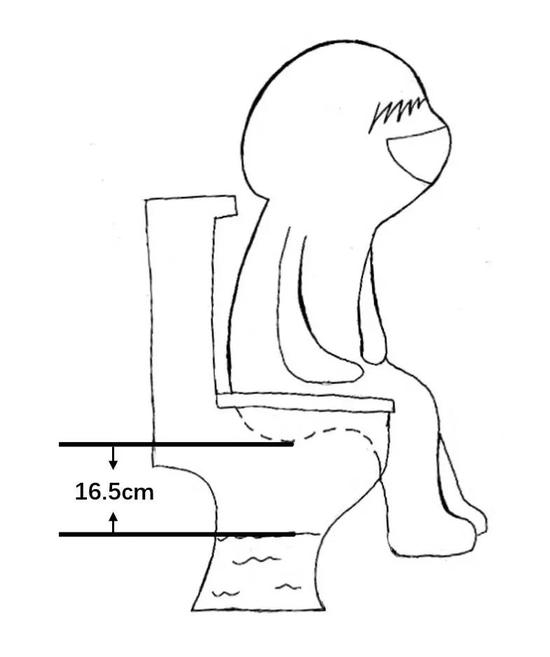 实验结果示意图