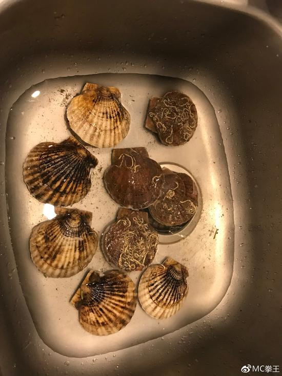 给扇贝播放它们的家乡歌曲，唤起乡愁：