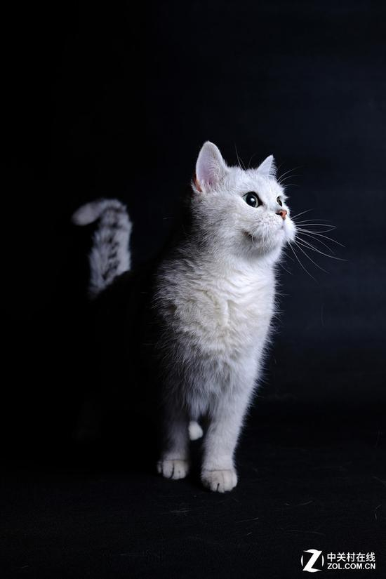 富士X-E3棚拍效果