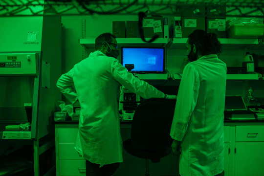 2021 年，Viridos 实验室的科研人员正在显微镜下观察细胞。该公司前身为合成基因组公司。