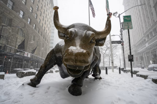 1 月 25 日，纽约金融区飘雪，人们在观赏华尔街铜牛。