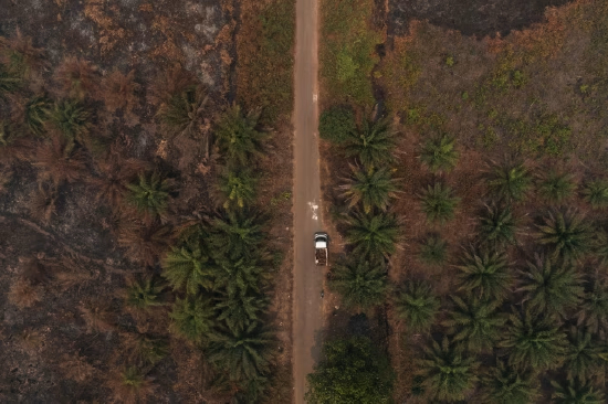 无人机航拍印尼西加里曼丹省，遭野火焚烧的棕榈油种植园。