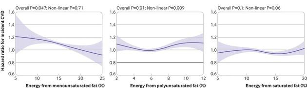 脂肪与心血管疾病之间的关系并不像我们印象中的那么简单