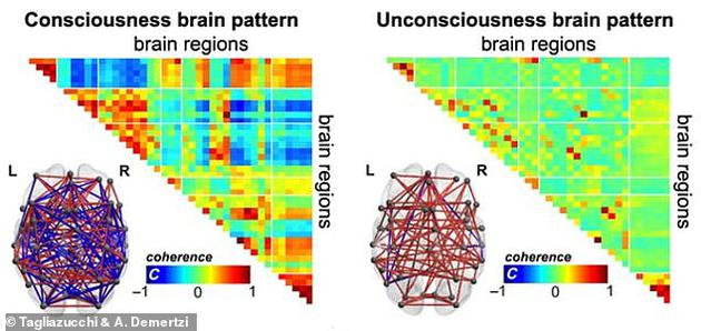 　　在有意识和无意识状态中，我们的大脑会随着时间推移有不同的自组织模式。当我们意识清醒时，大脑区域之间交流频密，既有积极也有消极的联系。图中显示了两种主要的大脑区域交流模式。