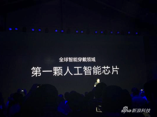 现场推出的芯片