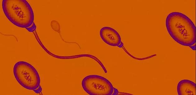 图片来自：Flickr Zappys