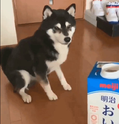 GIF|快点快点,我已经等不及了