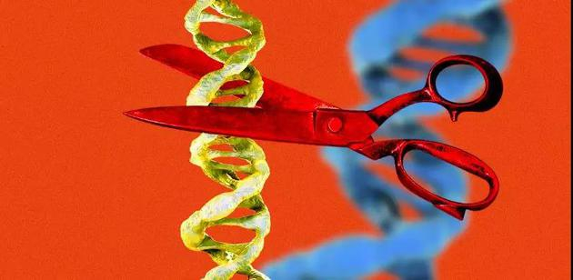 图片来自：Pixabay/Victor Tangermann