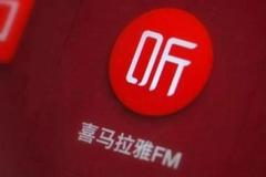 喜马拉雅的风雨上市路