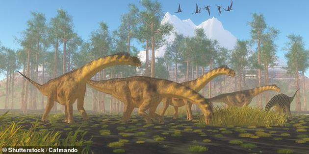 　　巨大的胃石意味着它们必须被大型动物如恐龙吞食和运输。图为：一群圆顶龙，研究人员认为可能是负责运送石头的物种之一。