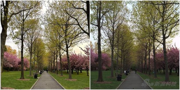 左边是用iPhone 12 Pro拍摄的照片，右边是用Wristcam拍摄的照片