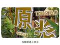大摩：上调青岛啤酒目标价至51港元 维持“与大市同步”评级