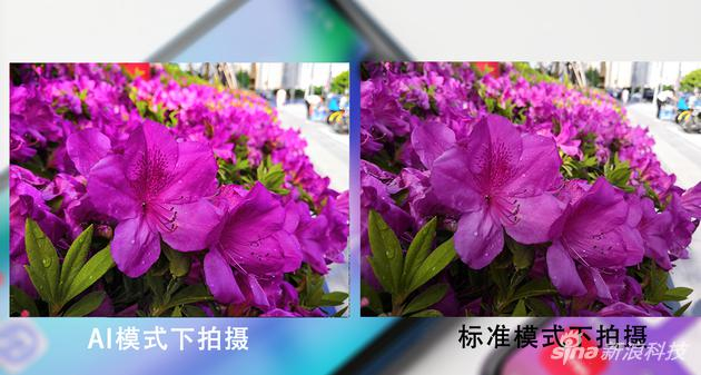 荣耀10微距样张对比