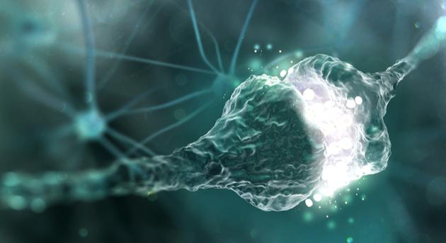 科学家发现精神分裂症和多巴胺之间联系的新证据 1 科学家发现精神分裂症和多巴胺之间联系的新证据