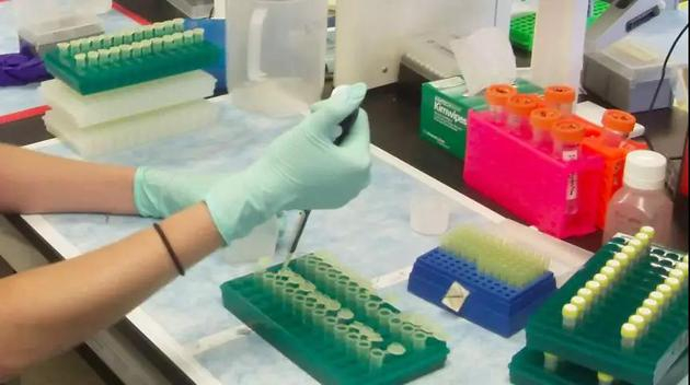 图片来自：USFWS