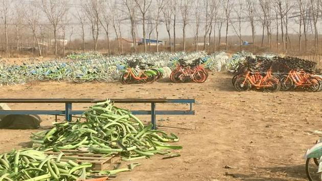 单车坟场自行车零件散落一地。新京报记者 张羽 摄影