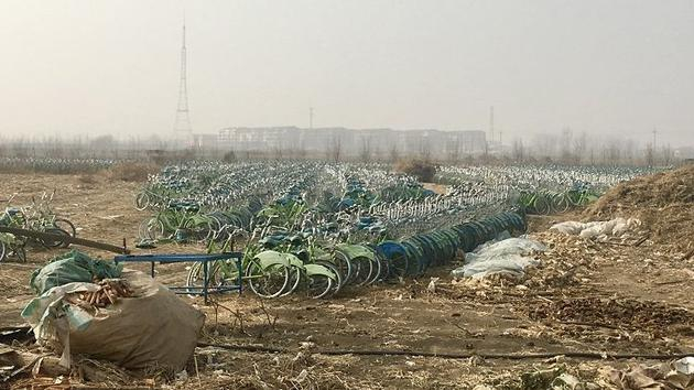 被“抛弃”的共享单车。新京报记者 张羽 摄影