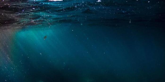 神秘的深海恐惧症 甚至看到照片中的海洋也会极度焦虑 手机新浪网