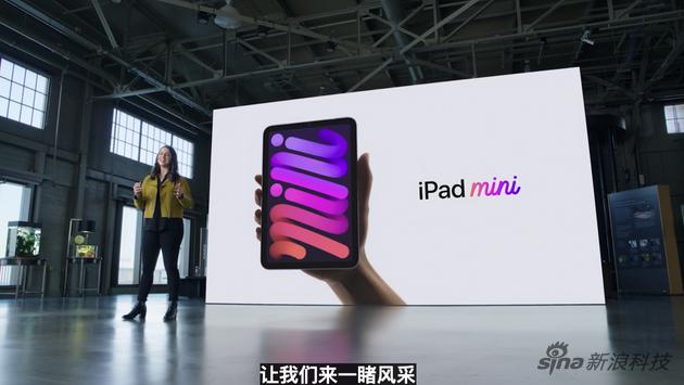 mini系列拥有广泛的群众基础
