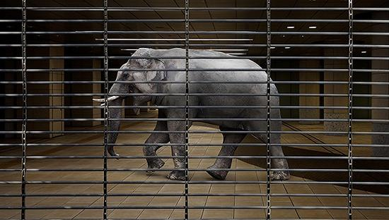 图片来源：视觉中国