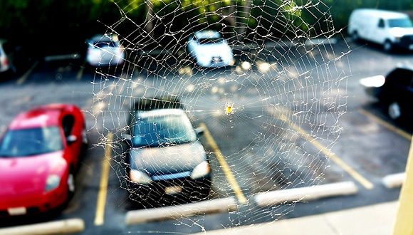 图片来源：视觉中国