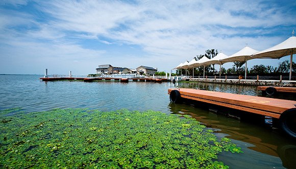 阳澄湖