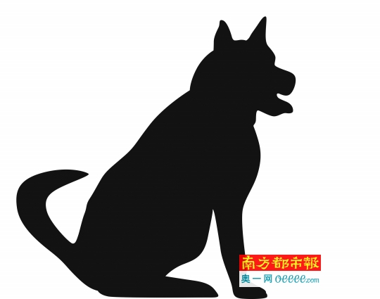 伪造证件卖疯狗